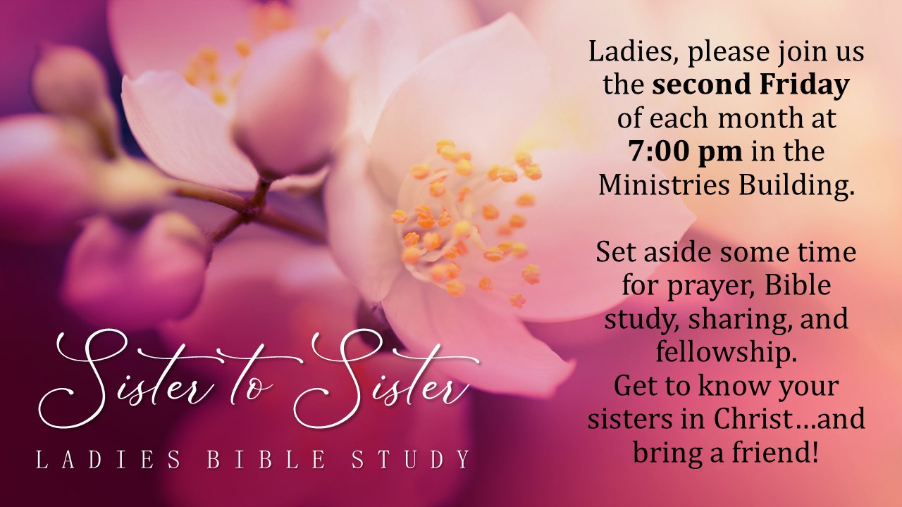 Women's Bible Study @ Ministries Building